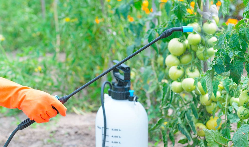 Chemical & Phytosanitary