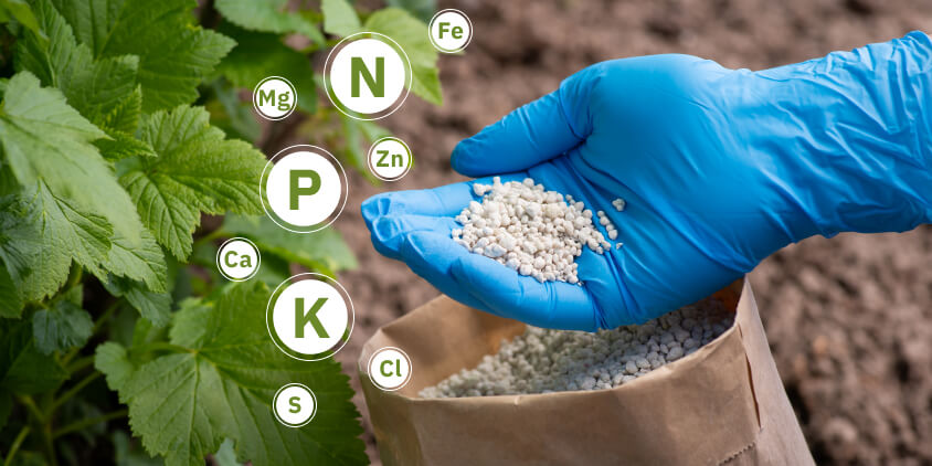 How to Choose the Right Fertilizers and Agricultural Chemicals for Your Crops